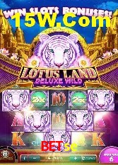 Experiência VIP betse